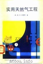 实用天然气工程（1989 PDF版）