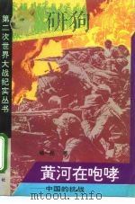 黄河在咆哮 中国抗战 1994 PDF电子版封面 7800815234 杨一民著