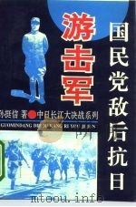 国民党敌后抗日游击军（1993 PDF版）