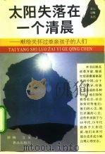 太阳失落在一个清晨 献给关怀过单亲孩子的人们 1996 PDF电子版封面 7543613824 娇杨,立友著