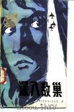 深入敌巢 1982 PDF电子版封面 10114·16 (苏)尼科莱·达列基,陈书汉译