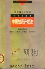 中国知识产权法（1999 PDF版）