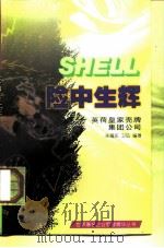 险中生辉 英荷皇家壳牌集团公司 1997 PDF电子版封面 7205036852 朱福东,卫弘编著