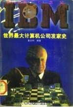 硬件之王CI之父-IBM 世界最大计算机公司发家史 1996 PDF电子版封面 7801002377 麦达利编著