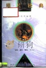 唱片经典（1995 PDF版）