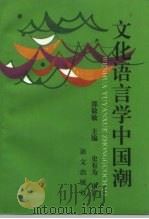 文化语言学中国潮 1995 PDF电子版封面 7800068528 邵敬敏主编