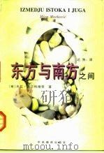 东方与南方之间 1994年9月-1996年10月日记 1997 PDF电子版封面 7801091949 (南)米拉·马尔科维奇(Mira Markovic)著;达洲