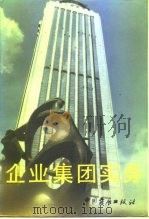 企业集团实务 1991 PDF电子版封面 7800870162 中国社会科学院工业经济研究所工业体制研究室编