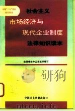 社会主义市场经济与现代企业制度法律知识读本 1996 PDF电子版封面 780078178X 全国普法办公室组织编写