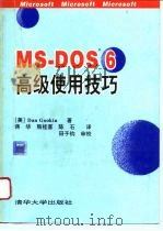 MS-DOS 6高级使用技巧 1994 PDF电子版封面 7302014876 (美)古 金(Gookin,Dan)著;蒋 华等译