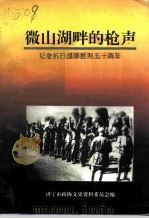 微山湖畔的枪声:纪念抗日战争胜利五十周年 1995 PDF电子版封面 山东省济宁市政协文史资料委员会