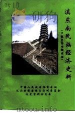 文山州文史资料  第12辑  滇东南民族经济史料  少数民族专辑续辑（1998 PDF版）