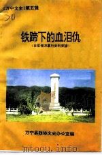 万宁文史 第5辑 铁蹄下的血泪仇 日军侵万暴行史料专辑 1995 PDF电子版封面 万宁县政协文史办公室