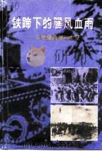 海南文史资料  第11辑  铁蹄下的腥风血雨 日军侵琼暴行实录  上   1995  PDF电子版封面  7806172424  符和积主编；海南省政协文史资料委员会编 