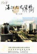 湛江文史资料 第15辑 1996 PDF电子版封面 中国人民政治协商会议湛江市委员会文史资料研究委员会编