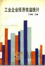 工业企业经济效益统计 1994 PDF电子版封面 7560813569 丁宇猒主编