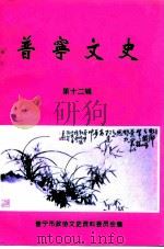 普宁文史  第12辑（1997 PDF版）