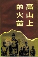 江苏文史资料 第90辑 南通文史资料选辑 第15辑 高山上的火苗 PDF电子版封面