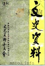 伊宁市文史资料  第3辑（1994 PDF版）