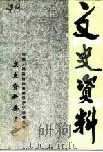伊宁市文史资料  第4辑（1995 PDF版）