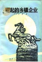 靖江文史资料  第12辑  崛起的乡镇企业（1994 PDF版）