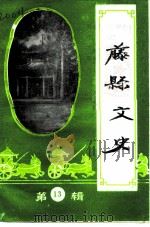 藤县文史  第13辑（1997 PDF版）