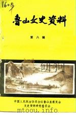 鲁山文史资料  第8辑（1992 PDF版）