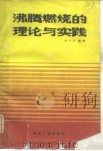 沸腾燃烧的理论与实践（1985 PDF版）