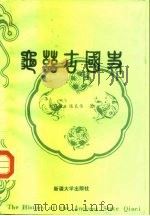 龟兹古国史 1992 PDF电子版封面 7563102647 刘锡淦,陈良伟著