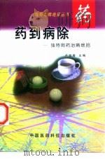 药到病除 独特用药治病绝招 1998 PDF电子版封面 7506717344 卢世秀主编;卢世秀等编