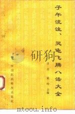 子午流注、灵龟飞腾八法大全 传统医学的灵魂、神奇疗效的核心 1993 PDF电子版封面 7506707292 漆浩,董晔主编