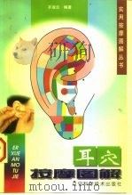 耳穴按摩图解（1999 PDF版）