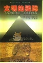 文明的疑踪 考古人类学12大悬案新探 1998 PDF电子版封面 780145264X (英)迈克尔·贝金特著;苗晨,宋航译