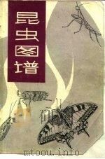 昆虫图谱（1984 PDF版）