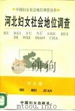 河北妇女社会地位调查 1994 PDF电子版封面 7800168840 李澍卿,陈先琴主编