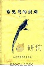 常见鸟的识别（ PDF版）
