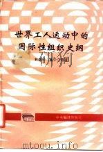 世界工人运动中的国际性组织史纲   1995  PDF电子版封面  7801090829  林建华等著 