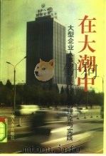 在大潮中 大型企业人事管理制度改革的理论与实践 1993 PDF电子版封面 7800763285 吴统慧主编