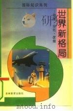 世界新格局  动态、分化、改组（1994 PDF版）