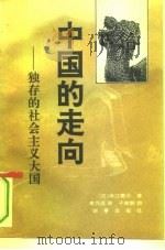 中国的走向  独存的社会主义大国（1994 PDF版）