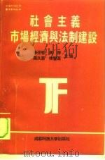 社会主义市场经济与法制建设 1994 PDF电子版封面 7561629044 朱丕智主编