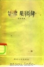 什么是法律 1955 PDF电子版封面 蔡云岭著