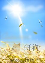 广岛 长崎原子弹爆炸写实   1992年02月第1版  PDF电子版封面    广岛 长崎原子弹爆炸灾害志编辑委员会编 