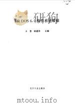 DR DOS 6.0操作系统基础（1993 PDF版）