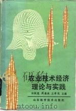 农业技术经济理论与实践（1991 PDF版）