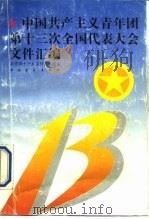 中国共产主义青年团第十三次全国代表大会文件汇编   1993  PDF电子版封面  7500613822  共青团十三大文件起草组编 