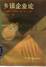 乡镇企业论 1993 PDF电子版封面 7500520670 丁国光著