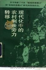 现代化中的农村剩余劳力转移（1993 PDF版）