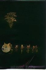新疆中草药 1975 PDF电子版封面 14098·1 新疆维卅事吾尔自治区革命委员会卫生局等编
