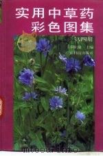 实用中草药彩色图集 第4册 1997 PDF电子版封面 7535918530 罗献瑞主编